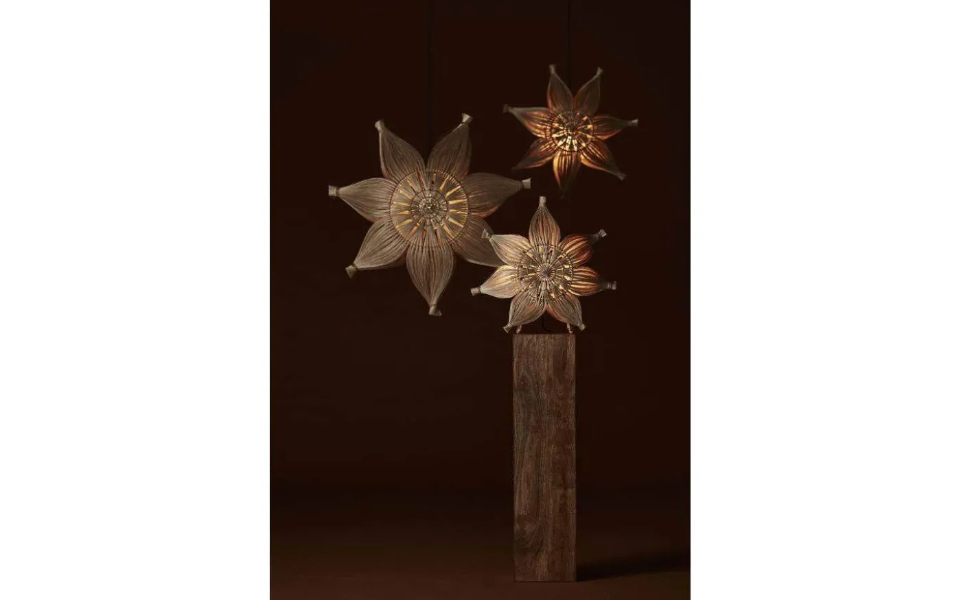 Agnes Bordsstjärna 47cm Natur