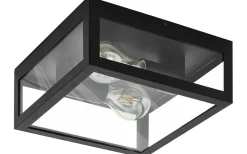Amezola Plafond 29cm Svart IP44