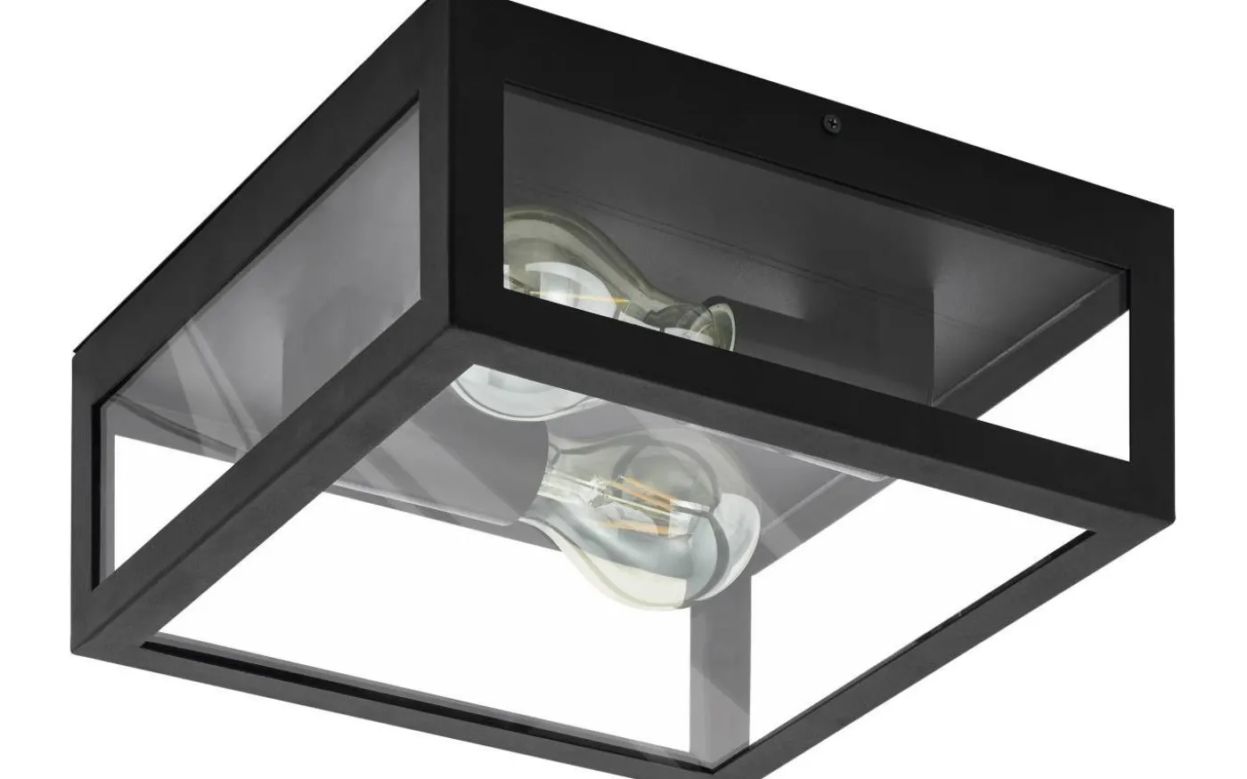 Amezola Plafond 29cm Svart IP44