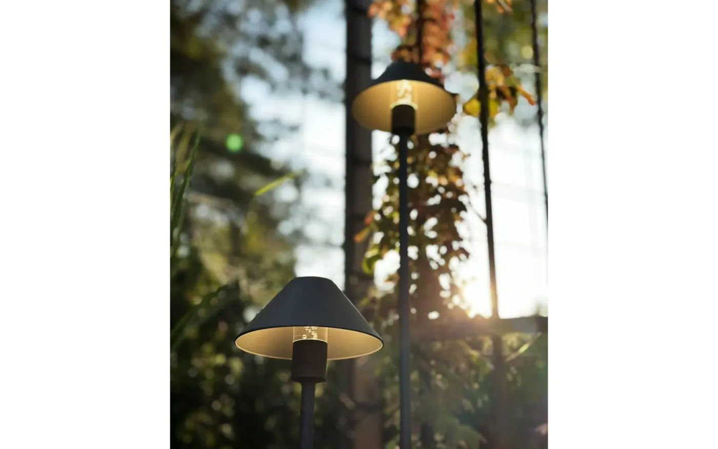 Apollo Flex LED 190lm 3W Lightson