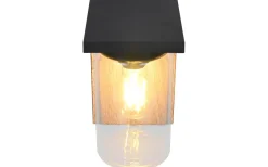 Vägglyktor<Trio Lighting Ardila Vägglampa E27 trä/matt svart skymningssensor IP44