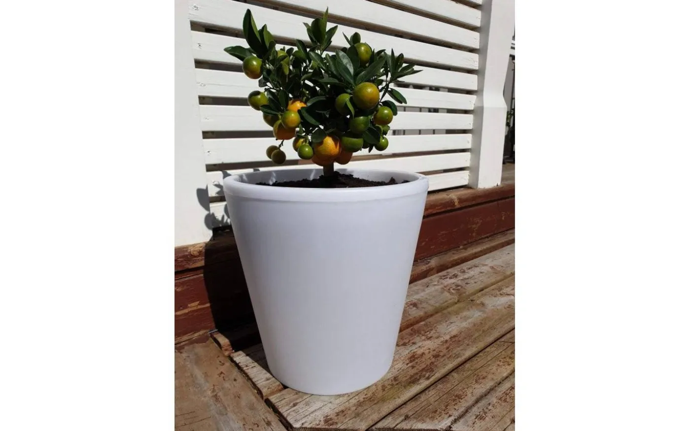 Assisi Blomkruka Liten LED