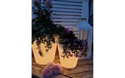 Assisi Blomkruka Stor LED