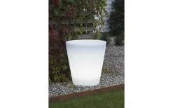 Assisi Blomkruka Stor LED