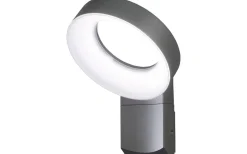 Asti Vägglampa LED 18W 5000K Mörkgrå IP44