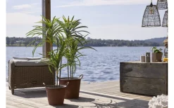 Dekorationsträd<Star Trading Bali Dekorationsträd 90cm Grön