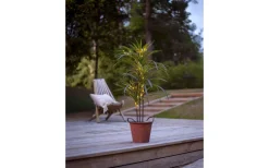 Dekorationsträd<Star Trading Bali Dekorationsträd 90cm Grön