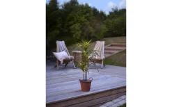 Dekorationsträd<Star Trading Bali Dekorationsträd 90cm Grön