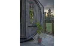 Dekorationsträd<Star Trading Bali Dekorationsträd 90cm Grön