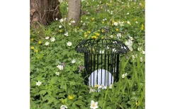 Ljuslyktor|Uppladdningsbara Lampor Utomhus<Dyberg Larsen Basket Laddbar/Solcells Lykta 32cm LED 3000K Svart IP44