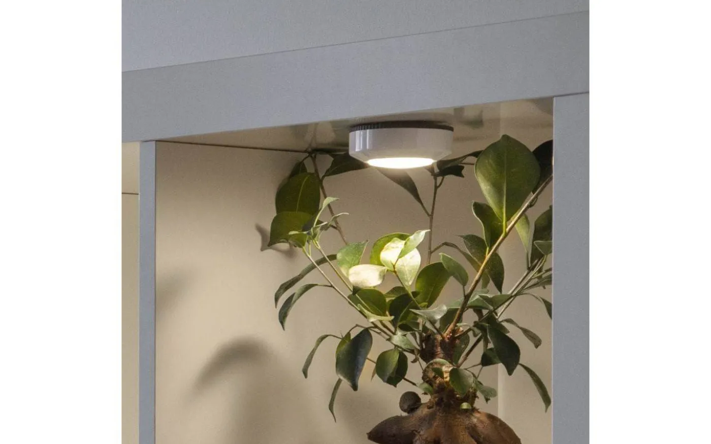 Batteridriven Spotlight Vit 3-Pack