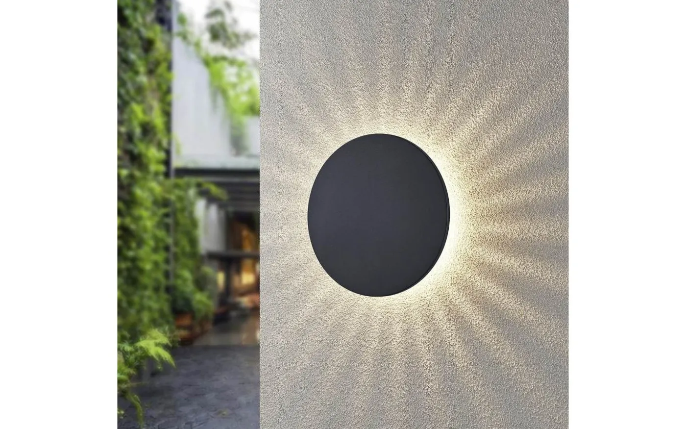 Belly Vägglampa LED antracit IP54