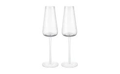 Glas<Blomus Belo Champagneglas 20 cl 2-pack Clear