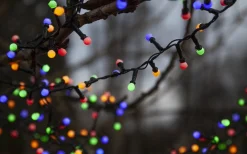 Ljusslingor Med Färgade Lampor<Star Trading Berry Mini Ljusslinga Färgmix 6m IP44