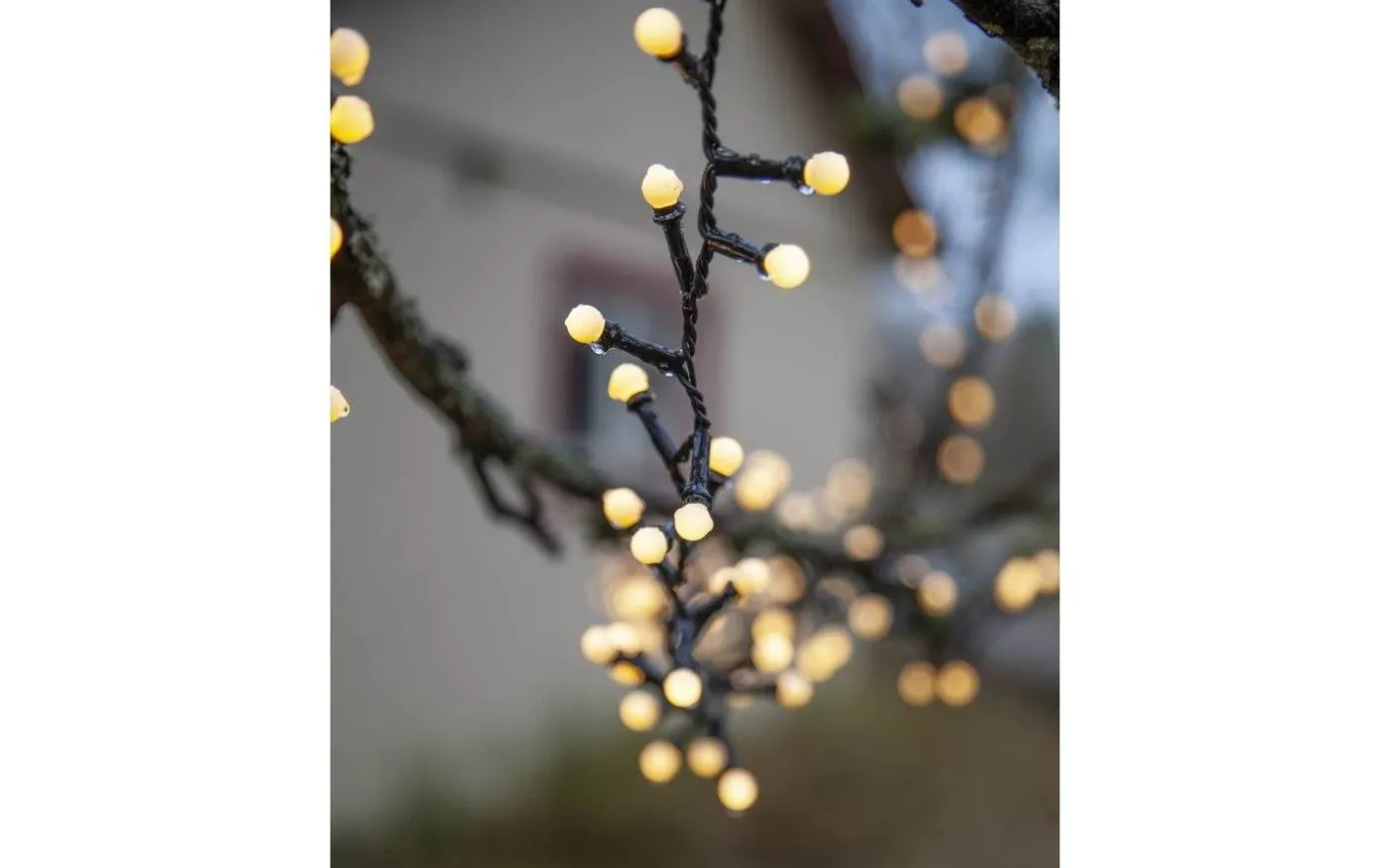 Berry Mini Ljusslinga Varmvit 6m IP44