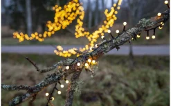 Långa Ljusslingor (11-20M)|Ljusslingor Utomhus<Star Trading Berry Mini Ljusslinga Varmvit 14m IP44