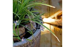 Bloom Ljusslinga 10m LED Lightson