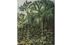 Botanic Bonad Grön 100x127cm