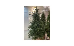 Konstgranar<Star Trading Brekstad Konstgran 210cm