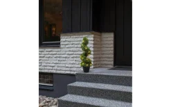 Star Trading Buxbom Dekorationsträd 65cm Grön IP44* Dekorationsträd