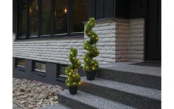 Star Trading Buxbom Dekorationsträd 65cm Grön IP44* Dekorationsträd