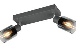 Takspot Med 2 Lampor<Reality Cadiz Spotlight 2-delad E14 antracit/förkromad