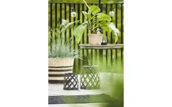 Solcellslampor Stig & Mark|Visa Alla Solcellslampor<Star Trading Calabria Solcellslampa 20cm Svart