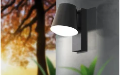 Caldiero Fasadlampa Antracit IP44