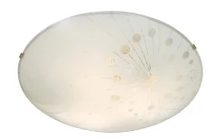 Plafonder<Aneta Capillata Plafond 40cm