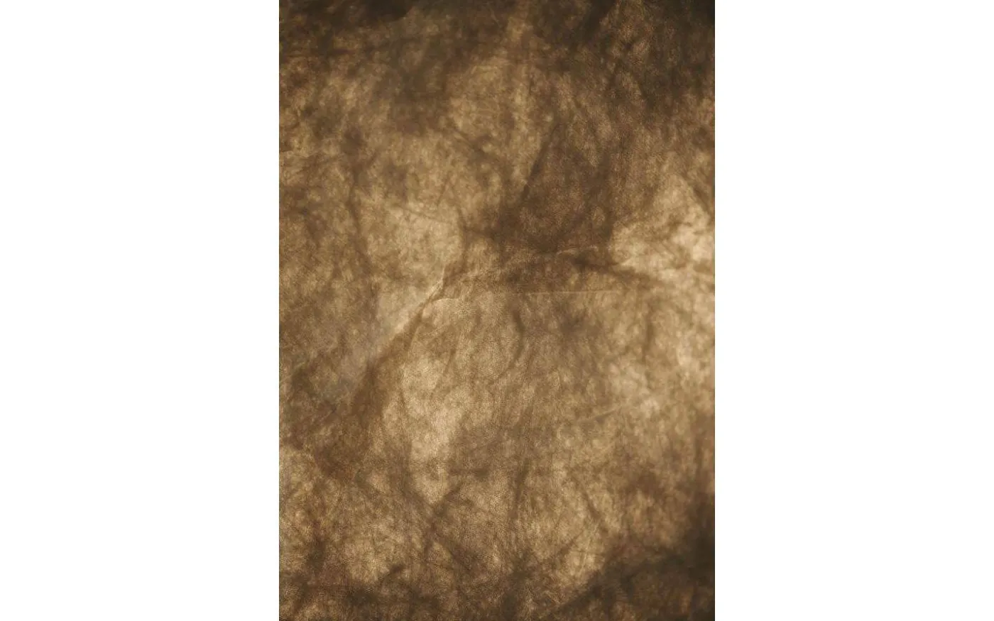 Cardine Taklampa 112cm Vit