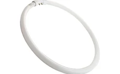 Cirkellysrör T5 840 40W Ø299mm