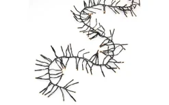 Cluster Ljusslinga 8,6m Amber med Chaser IP44