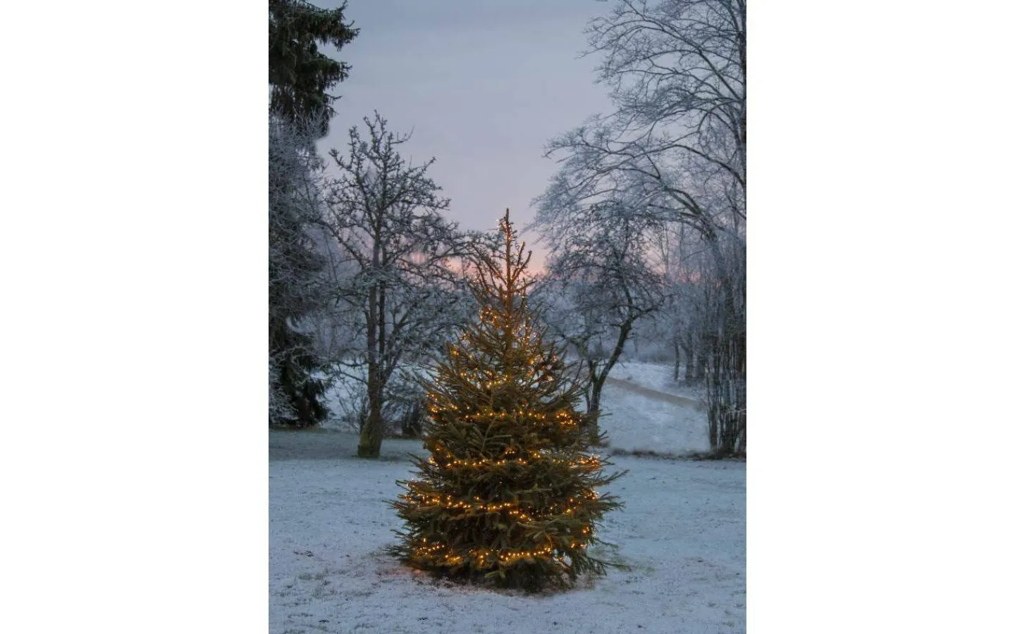 Långa Ljusslingor (21M+)|Clusterslingor<Star Trading Clusterslinga Golden Warm White 24m 1200LED IP44