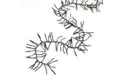 Konstsmide Clusterslinga 2,7m Amber med Chaser IP44* Korta Ljusslingor (1-10M)|Clusterslingor