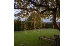 Clusterslinga Shiny Warmwhite 24m 1200LED IP44