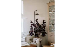 Cobbler Vägglampa 75cm Rök