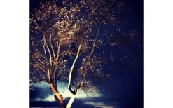 Lightson Garden Plug & Play<Lightson Cosmo Markspotlight Mörkgrå LED 10W 3000K 1000lm