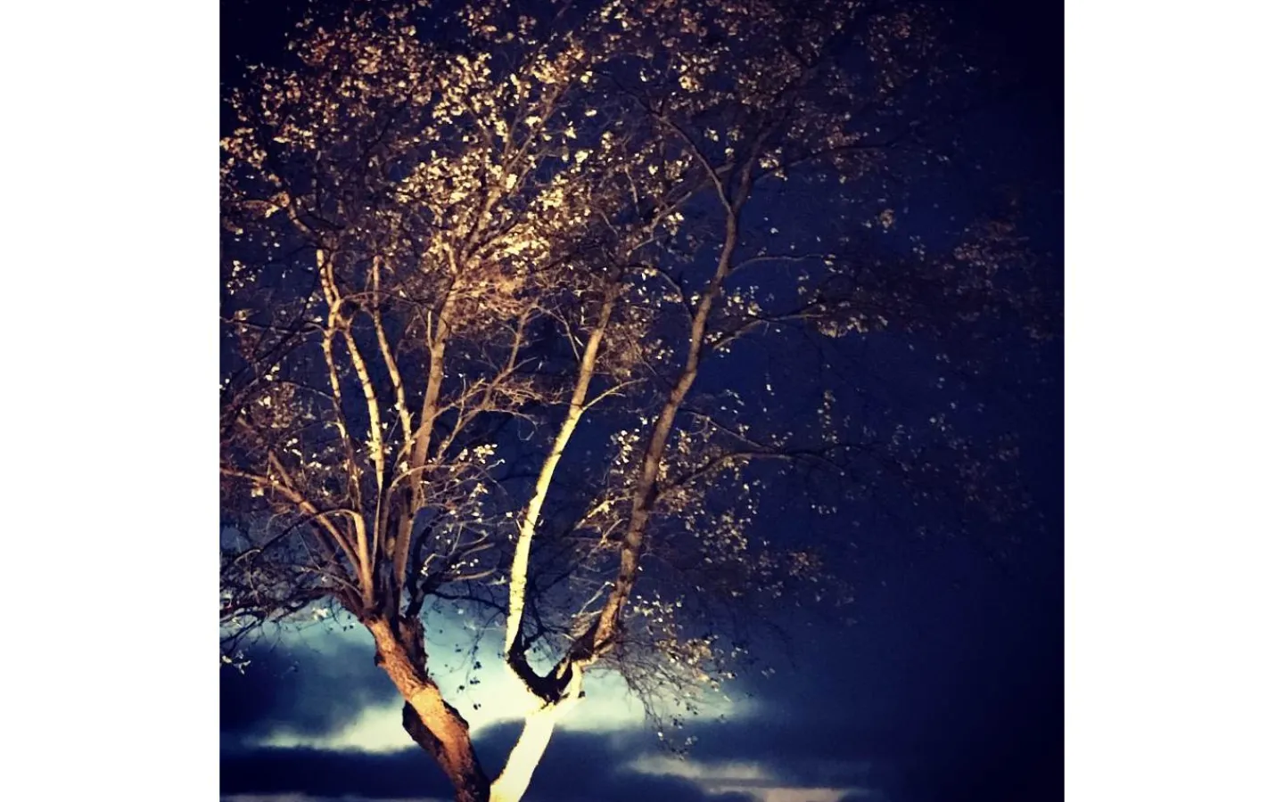 Lightson Garden Plug & Play<Lightson Cosmo Markspotlight Mörkgrå LED 10W 3000K 1000lm