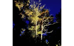 Lightson Garden Plug & Play<Lightson Cosmo Markspotlight Mörkgrå LED 10W 3000K 1000lm