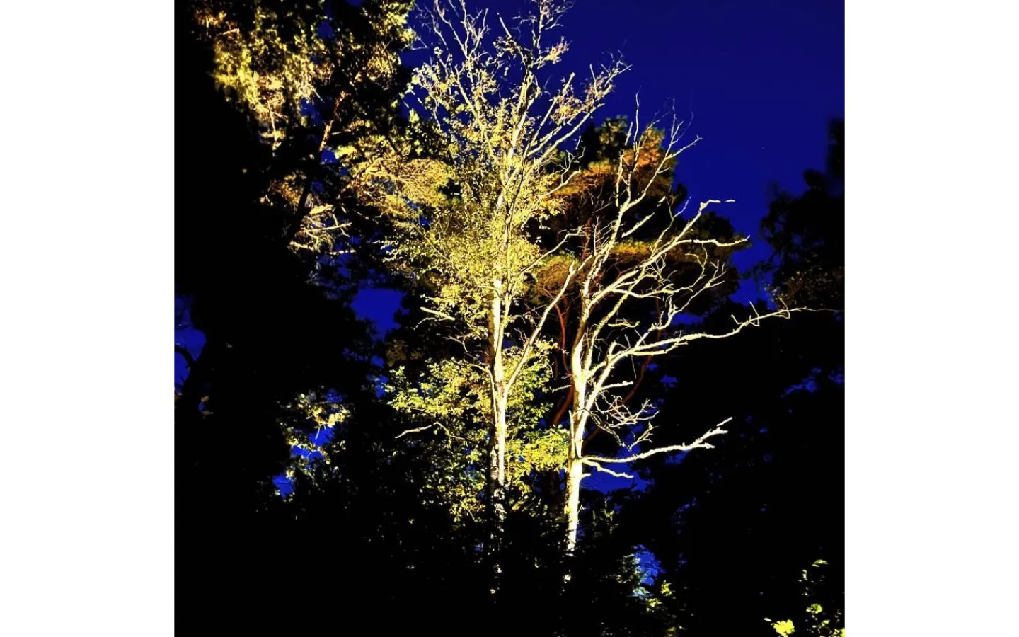 Lightson Garden Plug & Play<Lightson Cosmo Markspotlight Mörkgrå LED 10W 3000K 1000lm