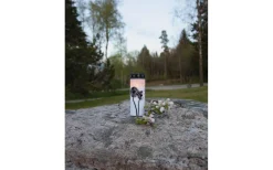 Gravljus|Gravljus<Star Trading Dandelion Batteridrivet Gravljus 21cm Timer Longlife 2500h Vit