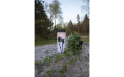 Gravljus|Gravljus<Star Trading Dandelion Batteridrivet Gravljus 21cm Timer Longlife 2500h Vit