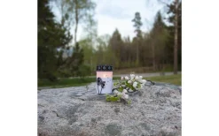 Star Trading Dandelion Batteridrivet Gravljus 12cm Timer Longlife 2500h Vit* Gravljus|Gravljus