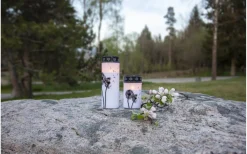 Star Trading Dandelion Batteridrivet Gravljus 12cm Timer Longlife 2500h Vit* Gravljus|Gravljus