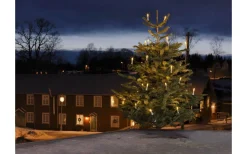 Konstsmide Donbas Julgransbelysning 25L DC LED Parallellkopplad IP44* Klassisk Julgransbelysning