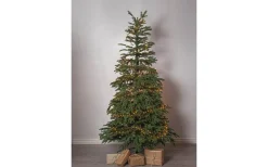 Konstgranar<Star Trading Edane Julgran 210cm Grön