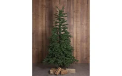 Konstgranar<Star Trading Edane Julgran 210cm Grön