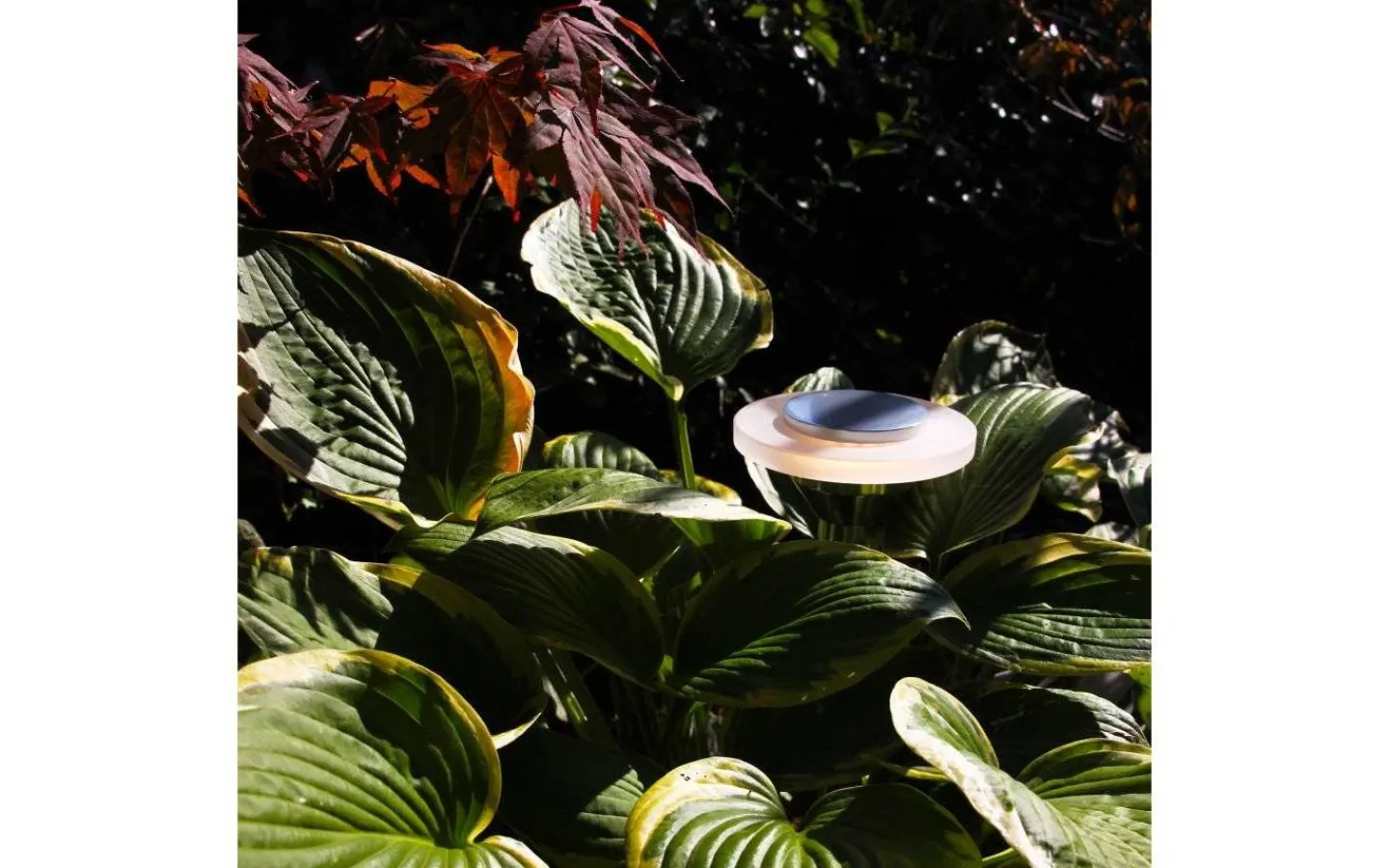 Lightson Ellips LED 3000K 90lm 2W* Lightson Garden Plug & Play