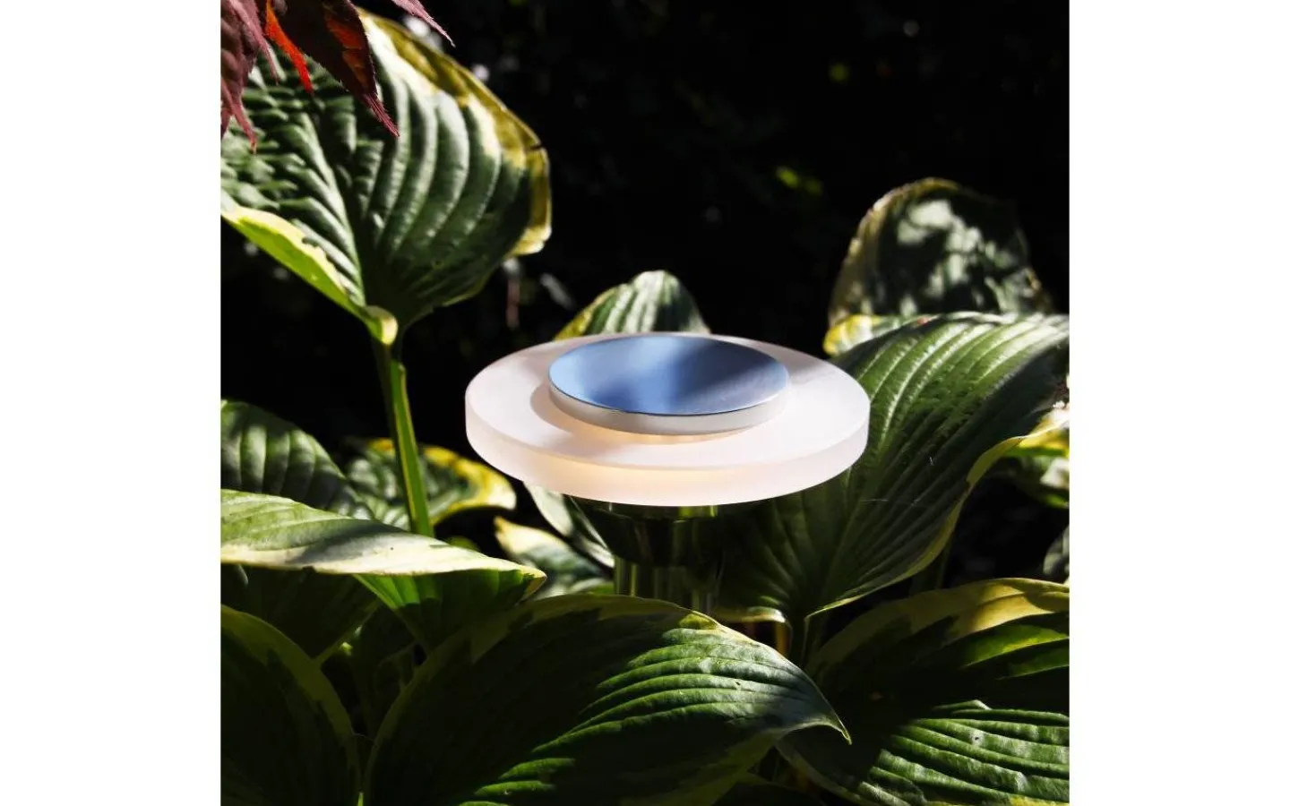 Lightson Ellips LED 3000K 90lm 2W* Lightson Garden Plug & Play