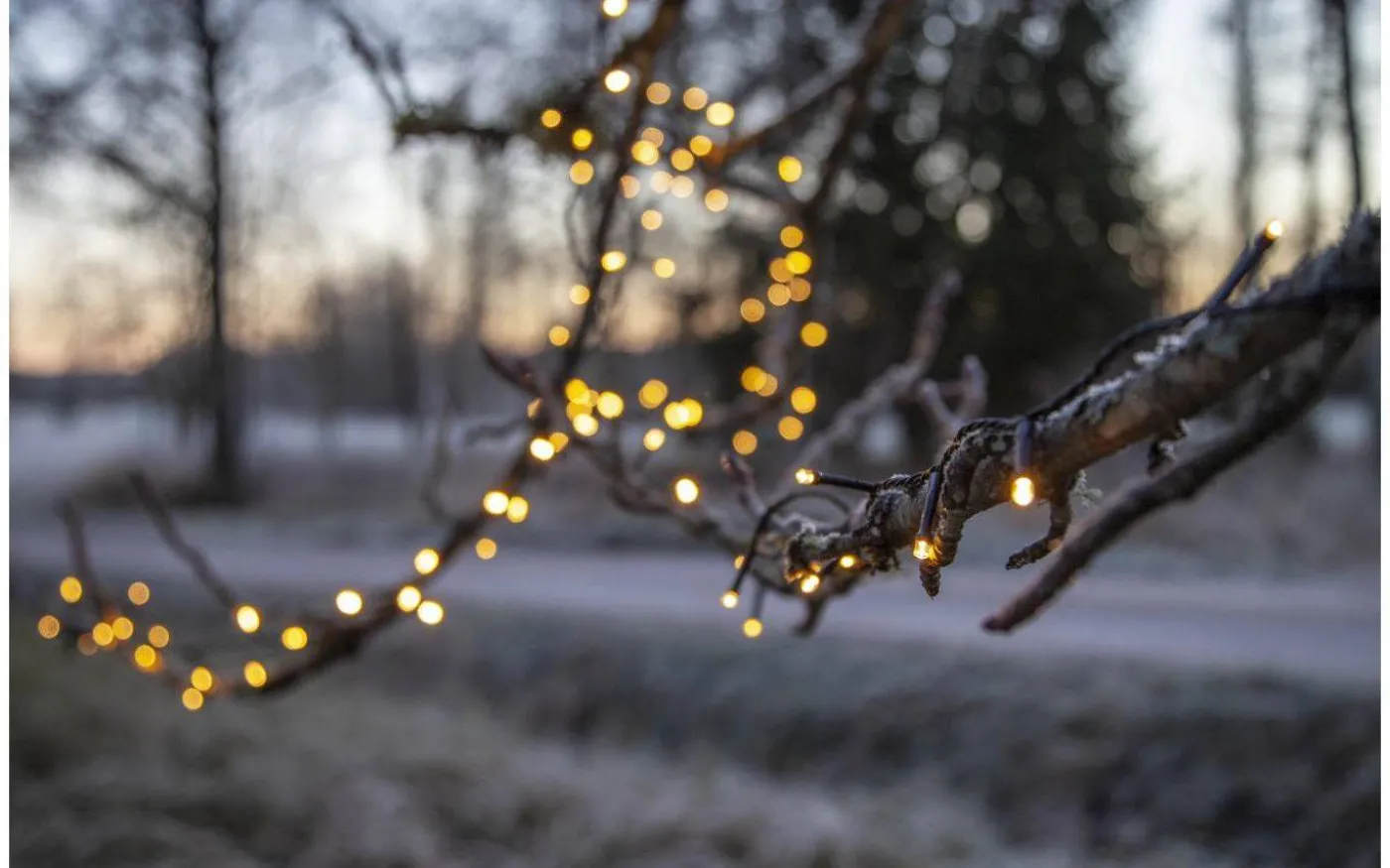 Flashy Ljusslinga 2500K 21m Svart IP44